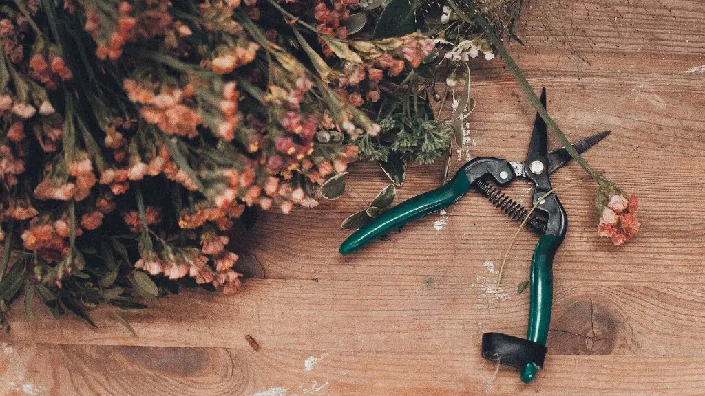 How to use a kitchen utility knife?