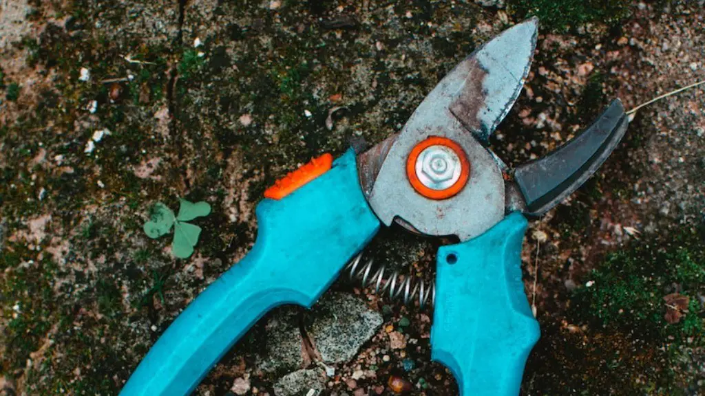 What to use when you don t have a screwdriver?